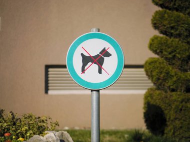 Sokakta metal bir direğe köpek giremez.