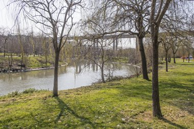 İstanbul 'da bir parkın yanındaki küçük bir nehir, Türkiye' de güneş ışığı altında