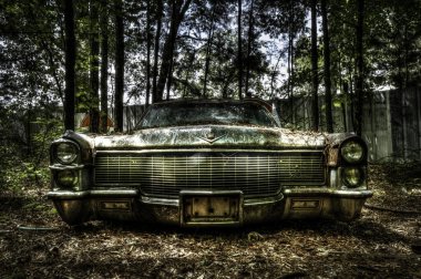 Ormanda eski bir Cadillac 'ın yakın çekimi. Eski model.