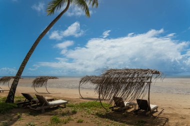 Güzel bir sahil manzarası, üzerinde güneş ışığı olan, bir palmiye ağacı ve mavi gökyüzü.