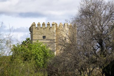 Cordoba, Endülüs 'te ağaçlarla kaplı antik bir taş kule.