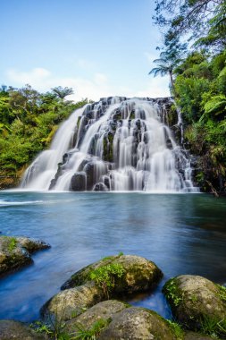 Owharoa Falls, Yeni Zelanda 'daki güzel şelalenin dikey görüntüsü.