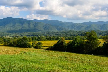 Great Smoky Dağları Ulusal Parkı 'nın Tennessee bölümündeki Cades Koyu, ABD