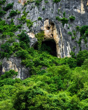Prahuap Kiri Khan, Tayland 'daki Sam Roi Yot Ulusal Parkı' ndaki Dağ Ormanı Mağarası.
