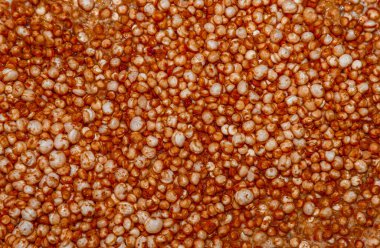 Tatlı turuncu patlamış mısır arka plan deseni