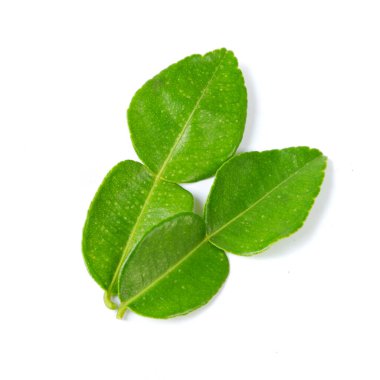 Beyaz arka planda biraz kireç yaprağı.