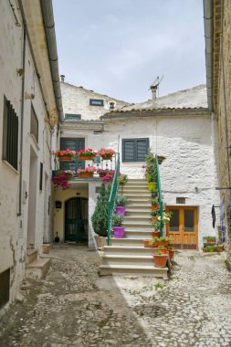 Renkli saksıları olan büyüleyici merdivenler.