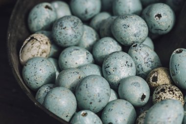 Turkuaz renkli benekli ve renksiz yumurta kabuklu ahşap bir kase.
