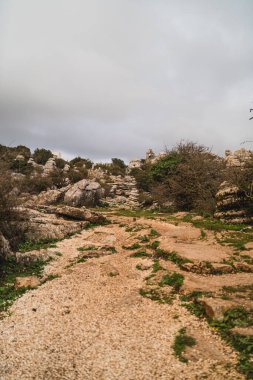 İspanya 'nın Malaga şehrinde güneşli bir günde El Torcal de Antequera' daki kaya oluşumlarının güzel manzarası