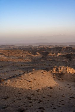 Sıcak bir günde mavi gökyüzünün altında çalıların olduğu güzel bir tepe manzarası.