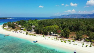 Asya 'da mavi bir gökyüzünün altındaki ormanın yanında güzel bir deniz manzarası.