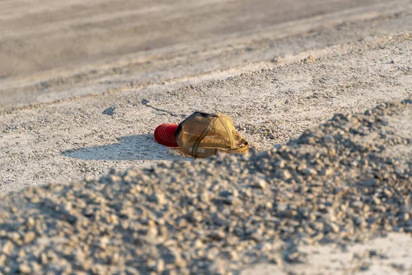 Een Prachtig Shot Van Een Schelpdier Slak Het Zandstrand Met — Stockfoto