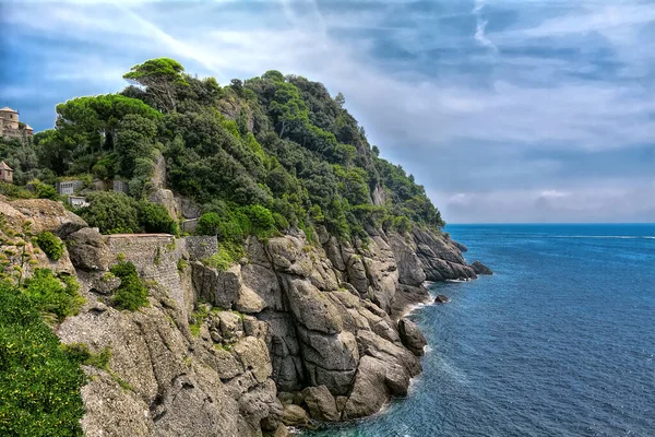 Vacker Utsikt Över Landskapet Gröna Lövträd Växer Klippan Vid Havet — Stockfoto