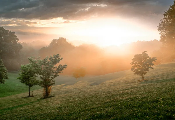 Ein Schöner Blick Auf Den Baringer Hill Bei Nebligem Sonnenaufgang — Stockfoto