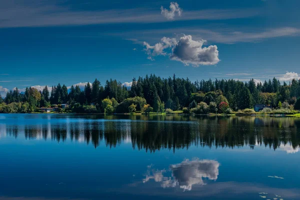 Una Splendida Vista Sugli Alberi Che Riflettono Sul Lago Larsen — Foto Stock