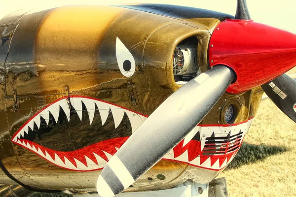 有名な航空ショーの飛行機での特徴的なサメの歯のペイントウォーホーク航空機の終わりのショット — ストック写真