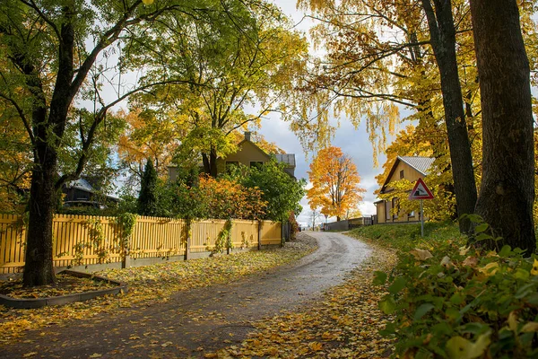 A scenic village landscape during autumn season