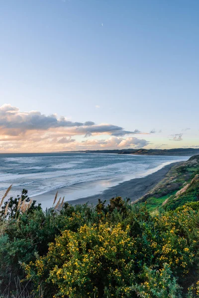新西兰拉格兰Ngarunui海滩悬崖上的植物和黄昏天空下的海景美景 — 图库照片