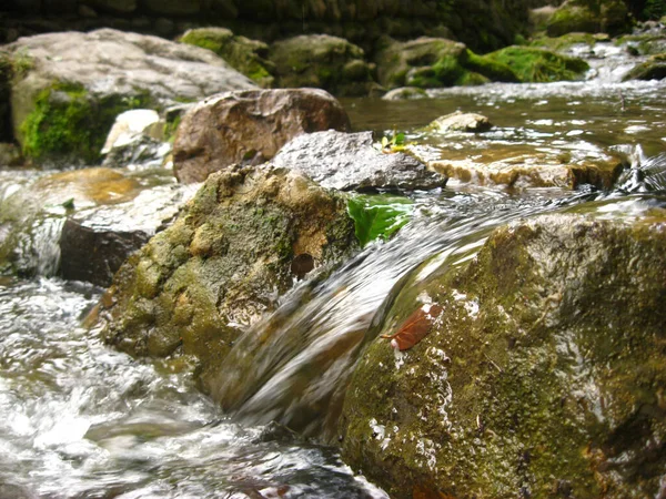 Primer Plano Agua Cascada Sobre Piedras Musgosas Bosque —  Fotos de Stock