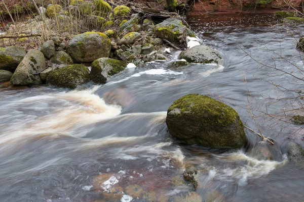 The Salaca river flows over mossy stones, Latvia