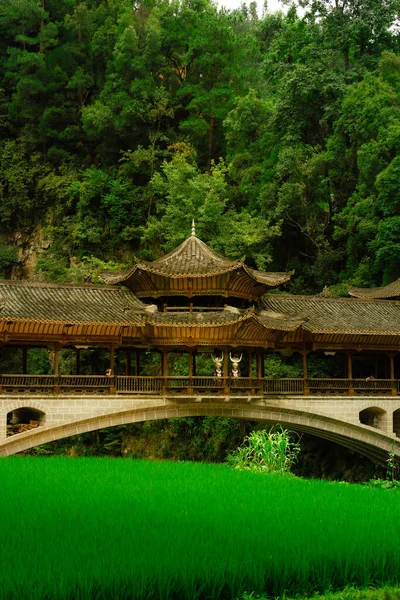 Belo Tiro Uma Antiga Ponte Estilo Chinês Contra Floresta Densa — Fotografia de Stock