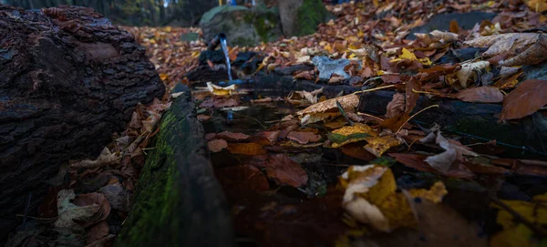 Селективный Фокус Воде Текущей Старому Стволу Заполненному Осенними Листьями — стоковое фото
