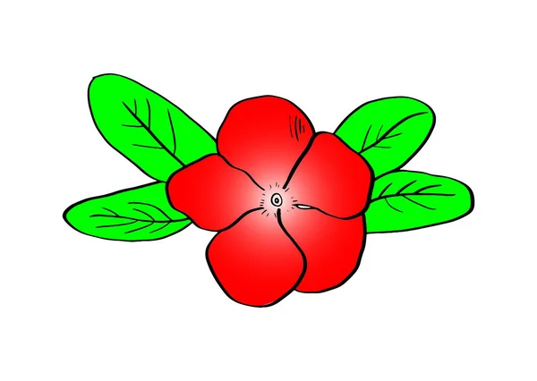 A simple flower illustration on white background