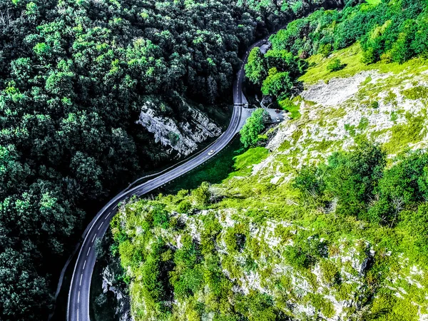 Αεροφωτογραφία Του Ελικοειδούς Δρόμου Μέσα Από Δάσος Και Βουνά — Φωτογραφία Αρχείου