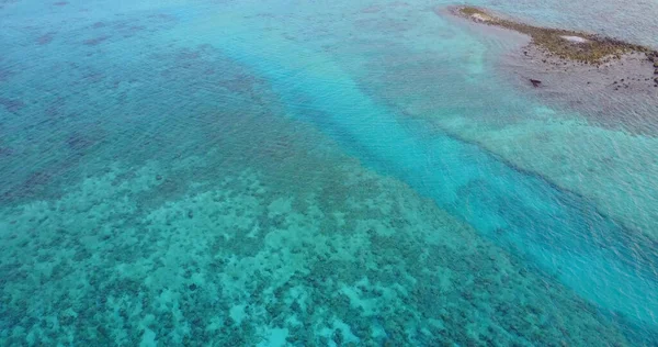 Vzdušný Výhled Korálové Útesy Tyrkysovou Vodu Maledivách — Stock fotografie