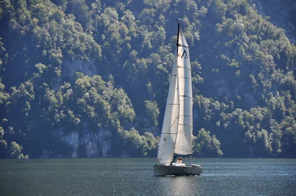 Barca Vela Sul Lago Traunsee Alta Austria Traunkir — Foto Stock