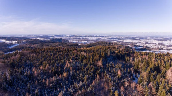 Una Vista Aérea Paisaje Nevado Con Pinos Verdes Día Soleado —  Fotos de Stock