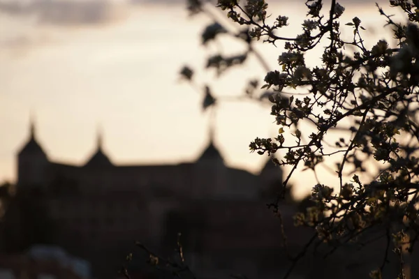 Matala Painopiste Linnoitus Alcazar Toledo Nähty Puun Takana Espanja — kuvapankkivalokuva