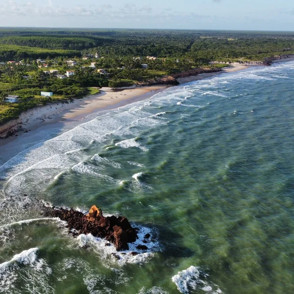 Eine Luftaufnahme Von Einem Strand Und Schönen Grünen Bäumen Daneben — Stockfoto
