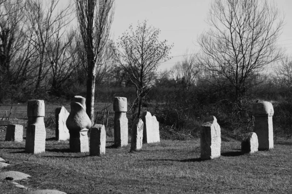 Een Grijswaarden Opname Van Een Oude Begraafplaats Met Bladloze Bomen — Stockfoto