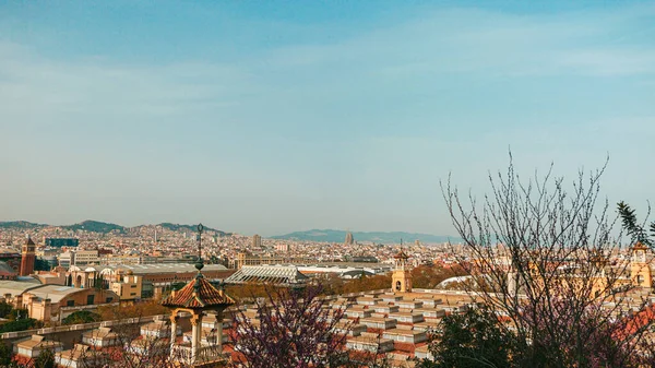 Güzel Bir Yaz Kuşu Manzarası Gökyüzü Şehrin Manzarası Barcelona Spanya — Stok fotoğraf