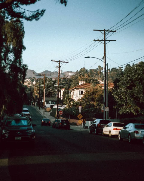 Una Foto Una Strada Collinare Hollywood Durante Estate — Foto Stock