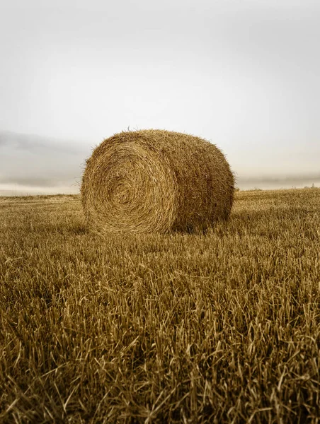 在新近割开的田野里一张圆形干草包的垂直照片 — 图库照片