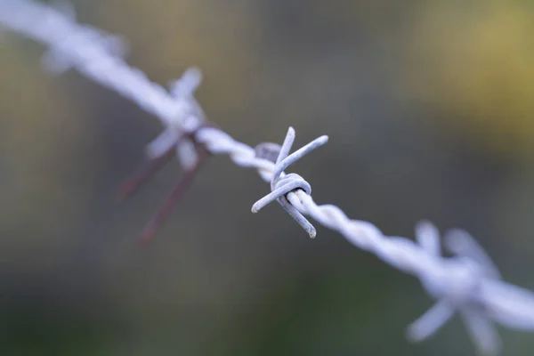 Bulanık Arkaplanı Olan Gri Dikenli Metal Bir Telin Seçici Odağı — Stok fotoğraf