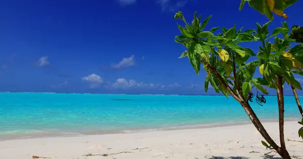 Una Hermosa Vista Del Mar Turquesa Costa Las Maldivas —  Fotos de Stock