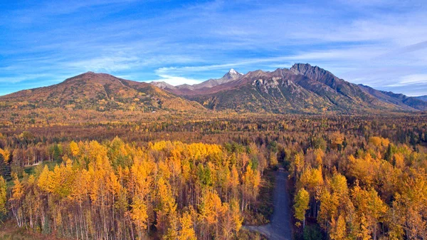 Una Vista Aerea Del Fiume Matanuska Circondato Alberi Autunnali Contro — Foto Stock