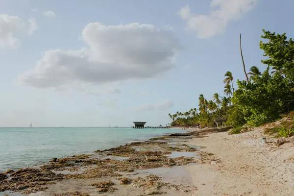 Słoneczna Tropikalna Plaża Bayahibe Palmami Republice Dominikańskiej — Zdjęcie stockowe