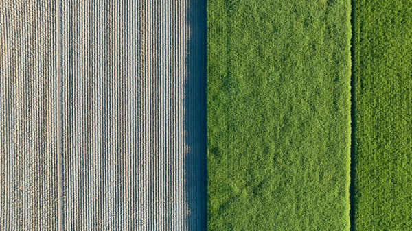 有灰色耕地的绿色农场的空中拍摄 — 图库照片