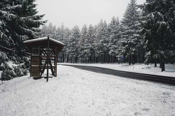 Camino Vacío Una Estación Rústica Madera Entre Abetos Nevados Bosque —  Fotos de Stock