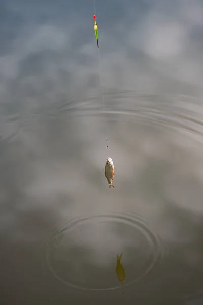 Lovitură Verticală Closeup Momeală Tijă Pescuit Într Lac — Fotografie, imagine de stoc