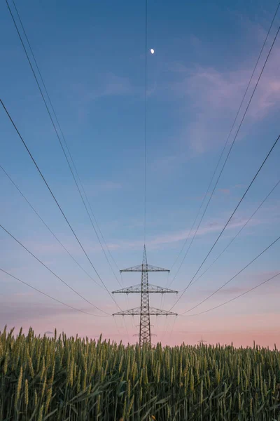 青い空の下で背景にワイヤーで緑の芝生と電気パイロンの美しいショット — ストック写真