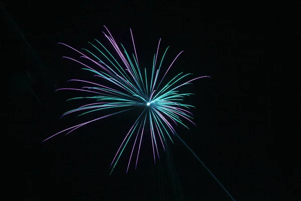 Színes Tűzijáték Fekete Elszigetelt Háttérrel — Stock Fotó