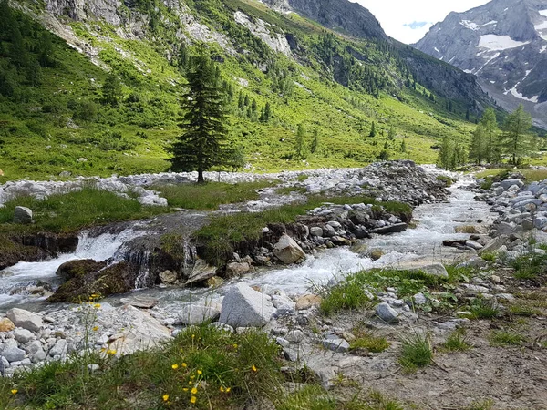 Karlı Yeşil Dağların Olduğu Bölgede Kar Kayaların Olduğu Büyüleyici Bir — Stok fotoğraf