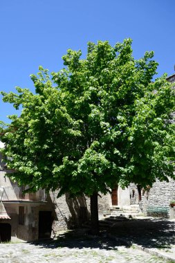 Bassiano, Lazio, İtalya 'da güneş ışığının altında yeşil bir ağacı olan eski bir binanın dış yüzeyi.