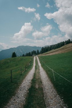 Yazın İsviçre 'nin Falera Graubunden Grisons kasabasında mavi gökyüzünün dikey görüntüsü.