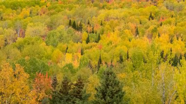 Kanada nehri kırmızısı Quebec 'teki kulübeden ayrılıyor.